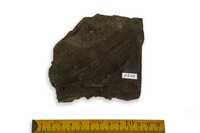 F 09233
<br/>
<br/>
<em></em>